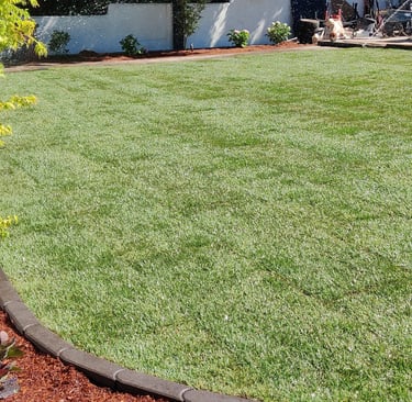 Lawn Irrigation System Installation in Lake Osweg, West Linn, Tigard, Portland, Cedar Mill, Near Me.
