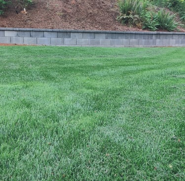 Lawn Hydro Seeding near me Lake Oswego West Linn, Cedar Mill Portland Tigard Beaverton Hillsboro