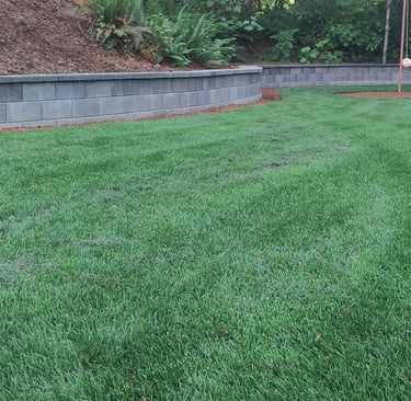 Lawn Seeding near me Lake Oswego West Linn, Cedar Mill Portland Tigard Beaverton Hillsboro