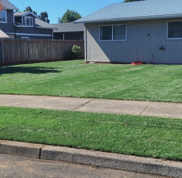 Sod Lawn Installation Services in Portland, Lake Oswego, West Linn, Oregon