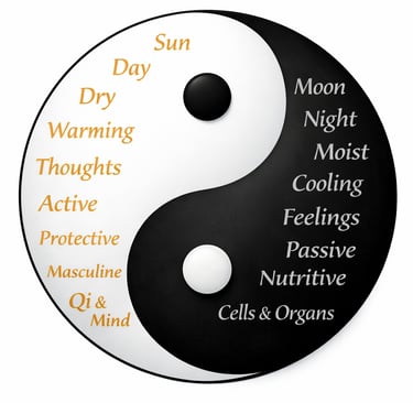 Yin and Yang symbol showing qualities of opposites: Yang as sun, day, active, protective, masculine,