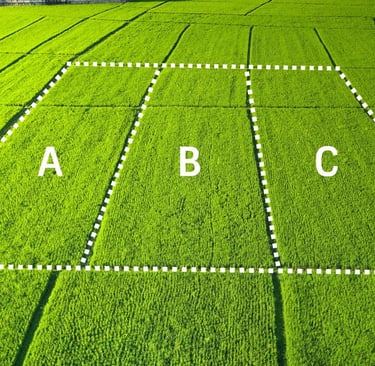 ifraz arsa bölme işlemi