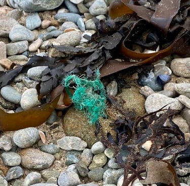 Déchet marin échoué sur le sable : la matière brute avant la réparation par Xirkys