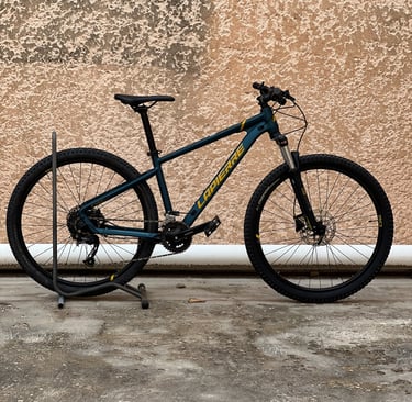 Image d'un vélo d'occasion en vente dans le magasin