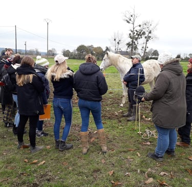 Rémi Bleibtreu explique les consigne de sécurité avant de proposer une séance d'équicie à un groupe