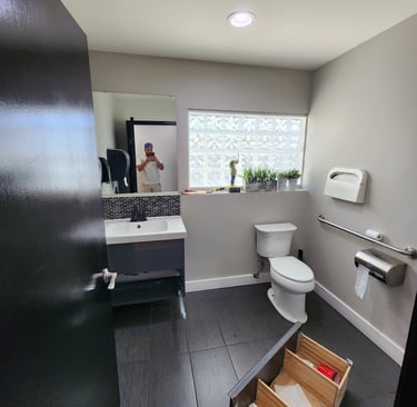a bathroom with a toilet and a sink