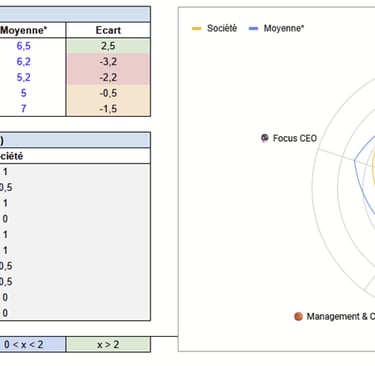 Extrait d’un audit Human Boost, Synthèse visuelle.