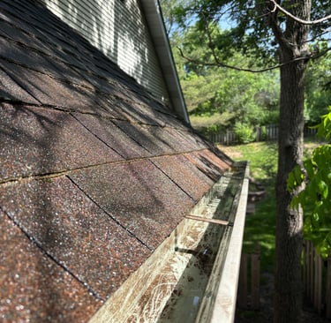 gutter after cleaning