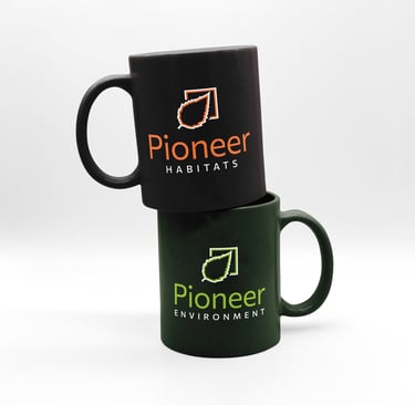branded mugs for ecology company