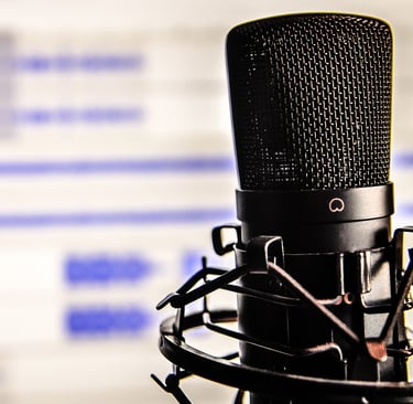 close up of a podcast microphone