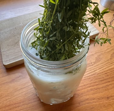 Labkraut für Frischkäse Herstellung