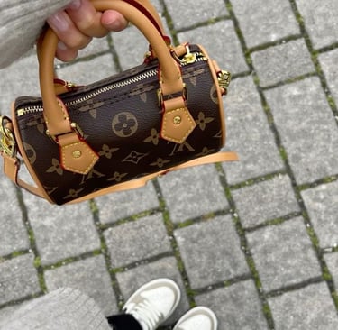 Louis Vuitton Nano Speedy Bag classic monogram