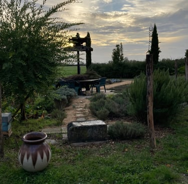 Le jardin d'Aimé : jardin thérapeutique à visé préventive