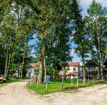 Forêt jardin One Health