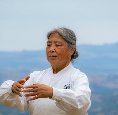 Stage de Tai Chi. 