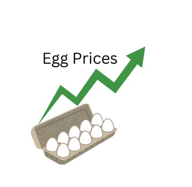egg prices and recipes