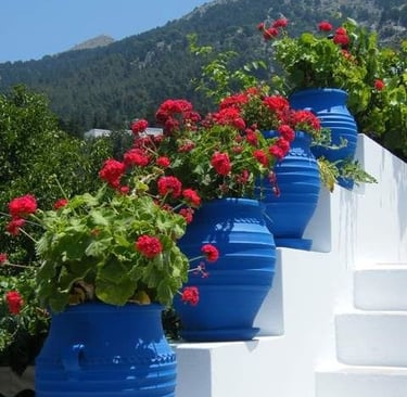 um monte de vasos azuis com flores vermelhas