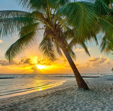 Sunny beach in Barbados