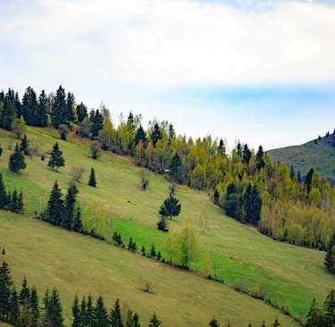 Beautiful rolling hills and forested landscape in Gyimes