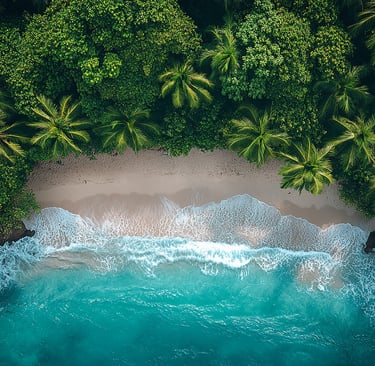 Manuel Antonio, Costa Rica beach nestled within the National Park