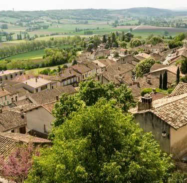 Roofs of The village of Lauzerte, France