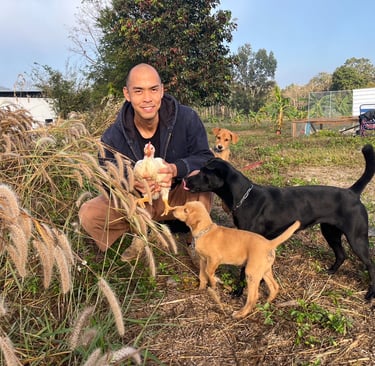 organic farm with dogs หมา ออร์แกนิค