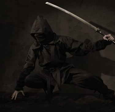 ninja 1