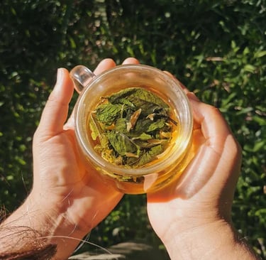 manos sosteniendo una taza de vidrio con infusion de hierbas