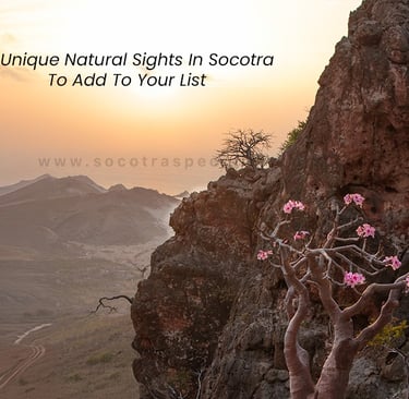 10 Unique Natural Sights In Socotra To Add To Your List