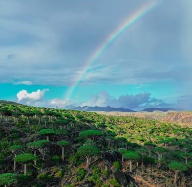 A Guide to Cuisine in Socotra