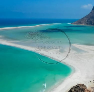 All About Visiting Detwah Lagoon on Socotra Island