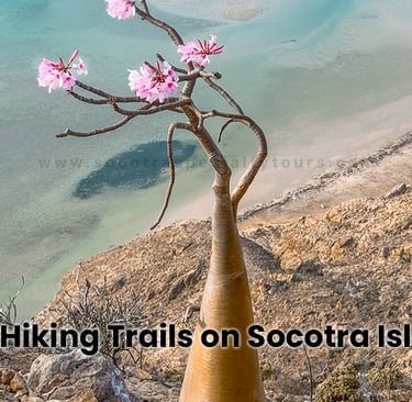 Best Hiking Trails on Socotra Island