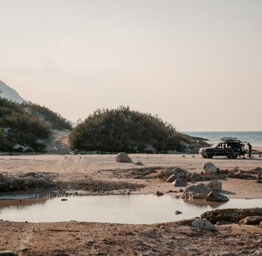 Socotra Nature Photography Contest
