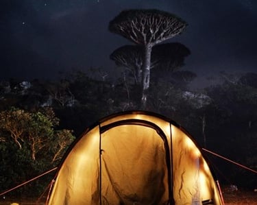 Socotra night camp