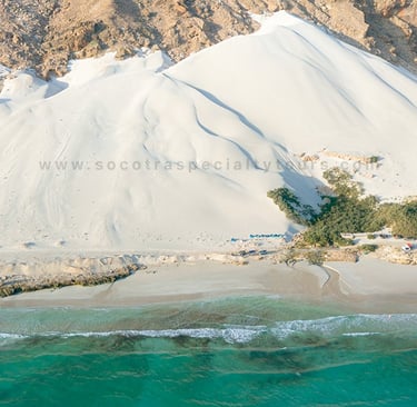 Socotra Travel Guide