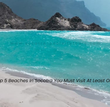 Top 5 Beaches In Socotra You Must Visit At Least Once!