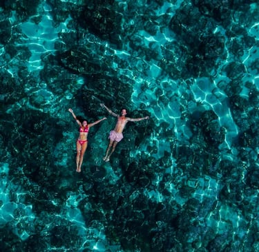 Top 7 Diving Spots in Socotra for Marine Life Enthusiasts