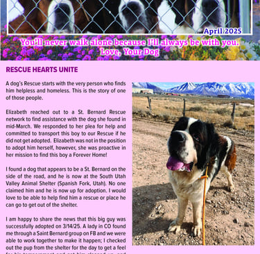 Go 2 JoJo Testimonials Page Sin City Saint Rescue Image www.Go2JoJo.com