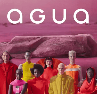 Jaguar's Recent Rebranding Efforts
