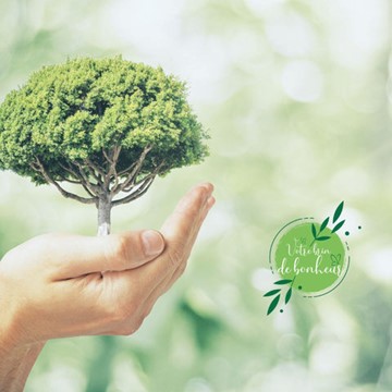 a person holding a small tree in their hands