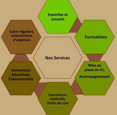 Nos services pour la mise en place de compostage autonome en établissement