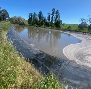 Winery waste-water effluent pond