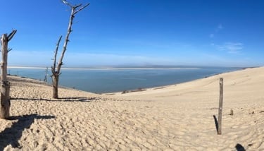 photo d'une dune de sable avec des pins et la mer en fond