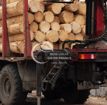 l'arrière d'un camion qui transporte du bois
