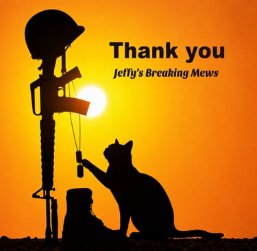 Silhouette of a cat reaching up touch a fallen soldier’s dog tags hanging from the weapon. 