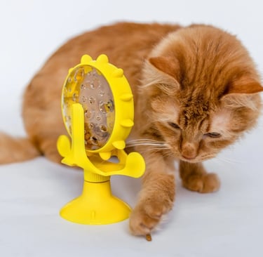 Orange tabby cat batting kibble from a yellow ring-shaped food puzzle designed to encourage hunting