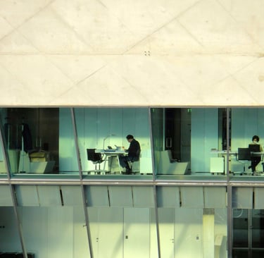 Government tenders and procurement alerts in Australia