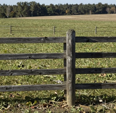 Weathered wooden post and rail fence enclosing a green rural pasture with a forest background.