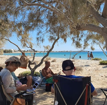 a group of people sitting under a tree by the sea, painting