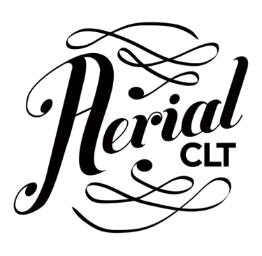 Link to Aerial Silks Page under Interests